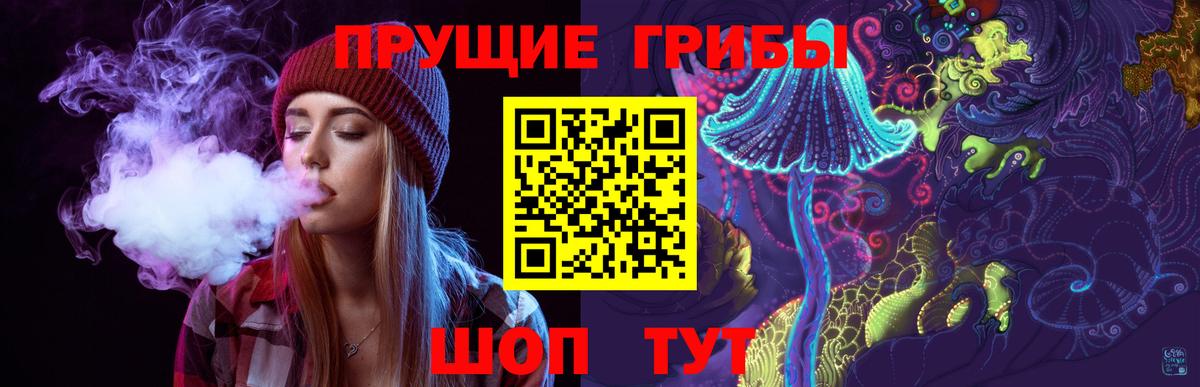 Кольчугино  сколько стоит  Вход с VPN  Псилоцибиновые грибы Cubensis 